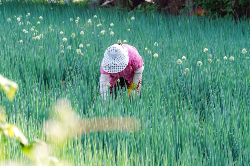 farming, mother, hometown-8046024.jpg